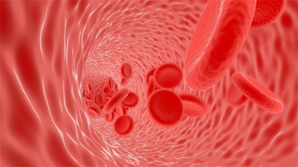 研究发现：新冠患者体内血小板“过度活跃”，从而形成致命的血凝块