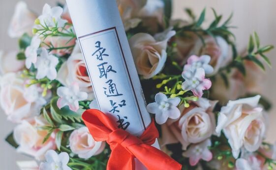 太可惜！江苏高考文科状元无缘清华北大 只因历史选修是B+