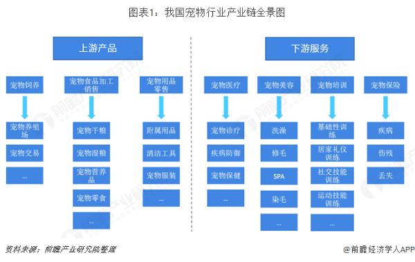 宠物鼻纹识别|宠物鼻纹识别技术国内首次应用！支付宝推出宠物险：猫狗也有“医保”了