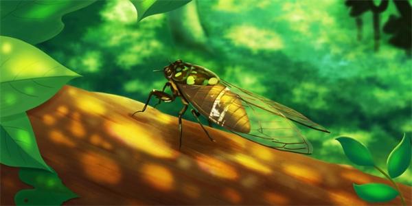 昆虫身上发现一种天然的拒水纳米结构：可启发设计防水涂料、抗病毒面罩
