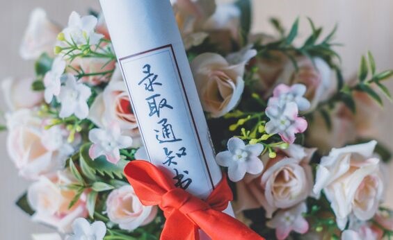 北京2020录取分数排行_北京大学2020年全国各省市录取分数线汇总(2)