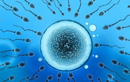 人类精子究竟是如何游动的？3D镜像显示其不对称地旋转前进 科学家们弄错了300多年