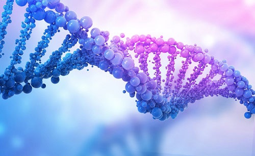 有望揭开头足类动物聪明的秘密？科学家首次实现对鱿鱼的基因改造