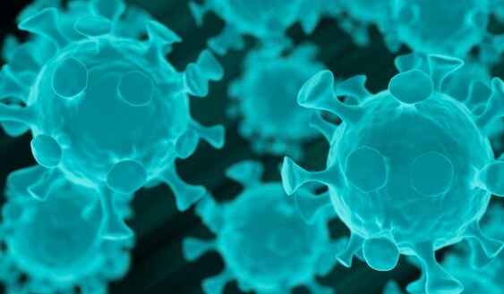 新冠病毒的变异或是一件好事专家虽然更具传染性但致命性反较低