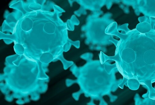 新研究：T细胞在控制新冠病毒和疾病严重程度方面发挥主导作用