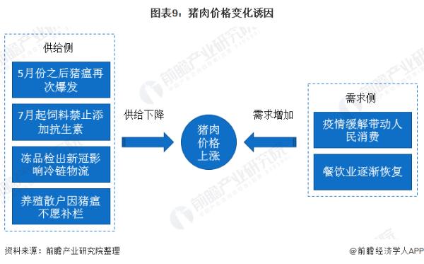 又贵了！猪肉价格同比上涨超五成 供给侧和需求侧两方面因素催涨