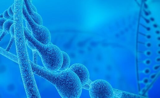 诺奖得主最新研究:一种阻止细胞“自杀”的基因是免疫治疗耐药性关键