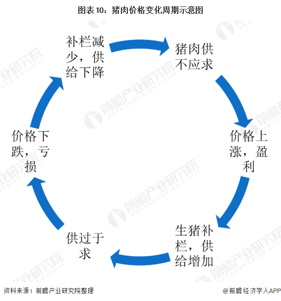 又贵了！猪肉价格同比上涨超五成 供给侧和需求侧两方面因素催涨