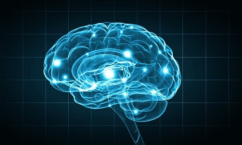 科学家对马斯克提出尖锐质疑：脑机芯片会让大脑变成“烤红薯”？