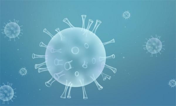 终于找到了！科学家发现Nsp1蛋白帮新冠病毒阻断免疫的机制