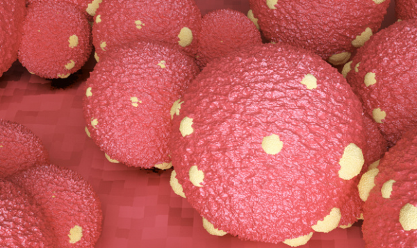 研究：免疫细胞居然协助乳腺癌细胞扩散，还降低药物疗效