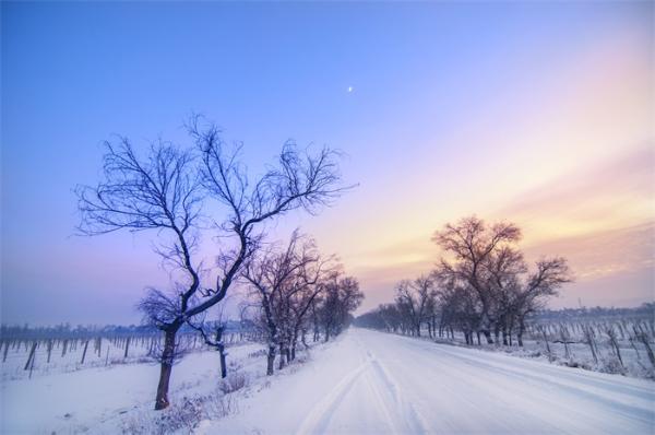 硬核！新疆快递员雪地骑马送快递，网友：终于知道为何新疆不包邮了