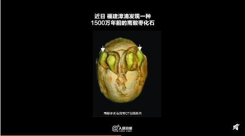 形态更多样！1500万年前的枣被发现 有7个萌发孔与现代南酸枣不同