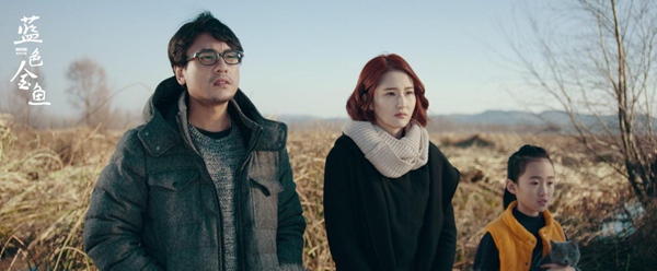 朱孝天蓝燕草海共舞，《蓝色金鱼》重写梦中爱情