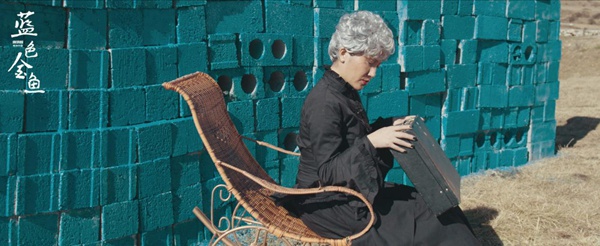 《蓝色金鱼》正式定档6月4日，追寻梦中的不灭爱情