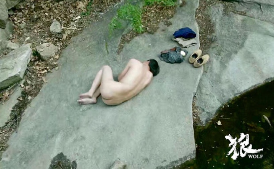 韩涛《狼》斩获戛纳金蝶兰奖评委会大奖，韩三明获得优秀电影人贡献奖