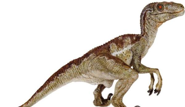 《侏罗纪世界2》6月15日登陆中国 揭秘片中恐龙战斗力