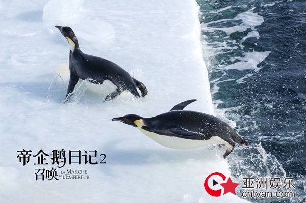 经典纪录片《帝企鹅日记2》即将上映 原班人马升级呈现南极奇观