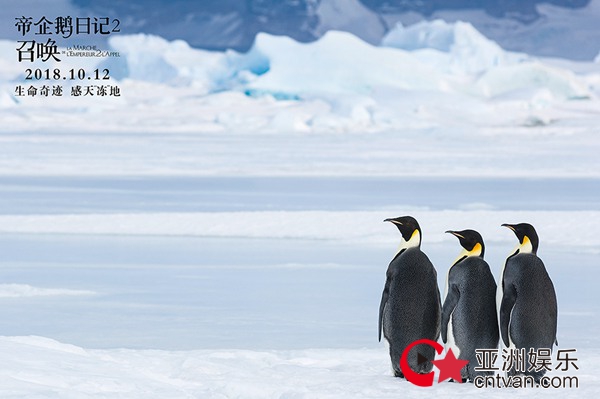 《帝企鹅日记2》追随神秘召唤踏上旅程，江一燕赞美生命力量
