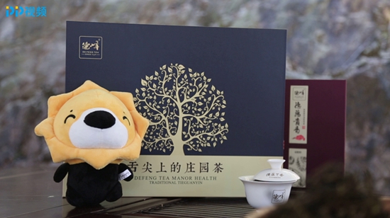 PP视频《寻味中国》带你品味乌龙茶之首：安溪铁观音