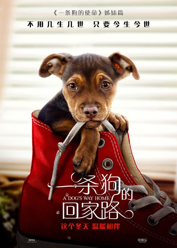 《一条狗的回家路》全新预告海报双发