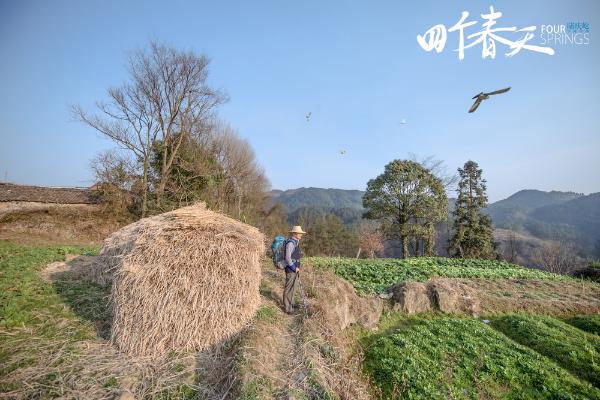 《四个春天》点映爆暖70城 群星方言力荐陪父母观影