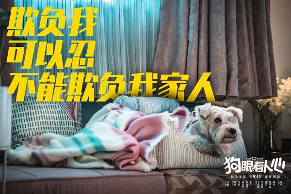 《狗眼看人心》首曝预告定档4月 黄磊闫妮为爱犬怒讨公道催泪守护