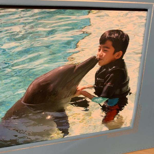 张柏芝晒与二儿子水中合照 与海豚亲吻画面超有爱