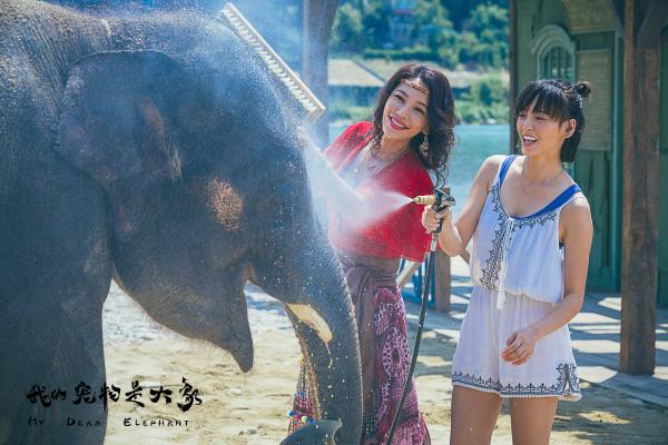 刘青云主演《我的宠物是大象》 勇敢直面生命中不能承受之重
