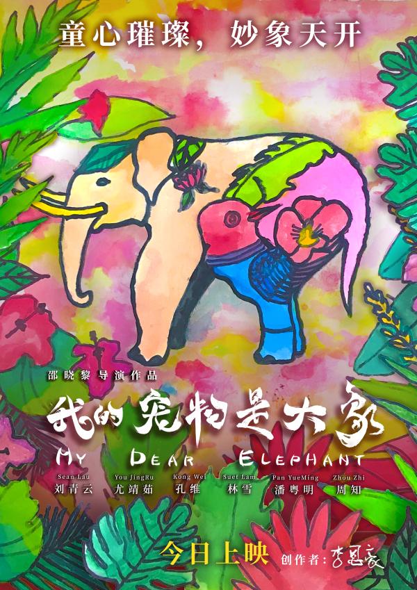 《我的宠物是大象》六大不能不看的原因