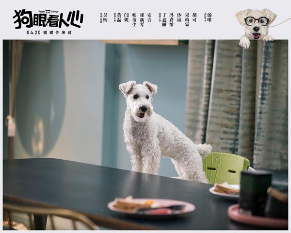 黄磊闫妮新作《狗眼看人心》曝主题曲MV 好妹妹献唱《宅男配狗 天长地久》