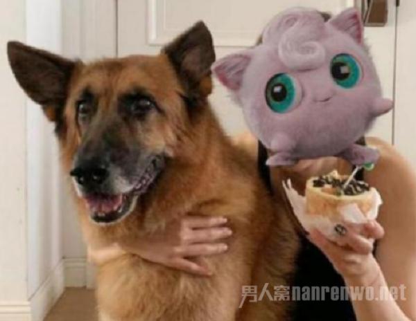 郑秀文为许志安爱犬庆生 两人恩爱如旧? 爱人