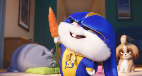 奶凶大佬小白回归 《爱宠大机密2》化身超级英雄激情追梦