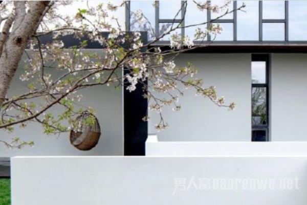 刘雯的工作室 简直世外桃源 大表姐品味就是高级！