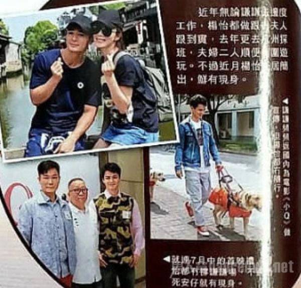 港媒曝杨怡怀孕 杨怡回应新年快乐 这转移话题能力太差