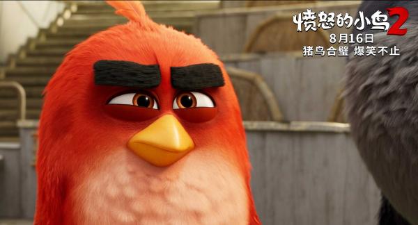 《愤怒的小鸟2》海外口碑爆棚 8月喜剧动画即将上映