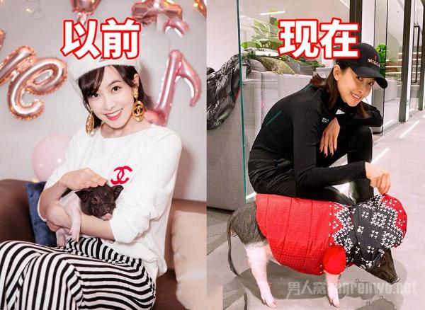 宋茜的猪又长大了 体型前后对比太大 网友：可以开吃了