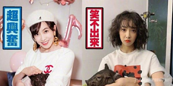 宋茜的猪又长大了 体型前后对比太大 网友：可以开吃了