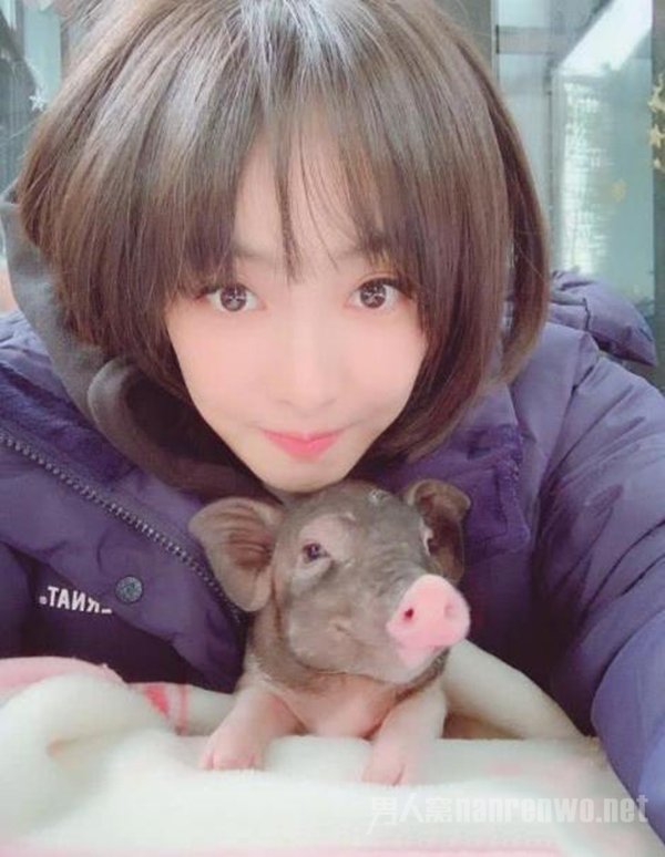 宋茜的猪又长大了 体型前后对比太大 网友：可以开吃了