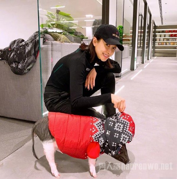 宋茜的猪又长大了 体型前后对比太大 网友：可以开吃了