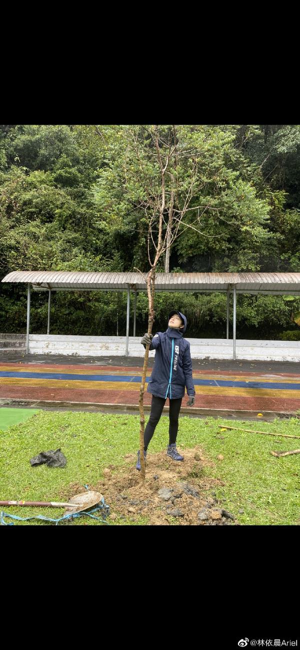 『湘琴』“湘琴”林依晨植树节种树 戴手套拿铁锹亲力亲为
