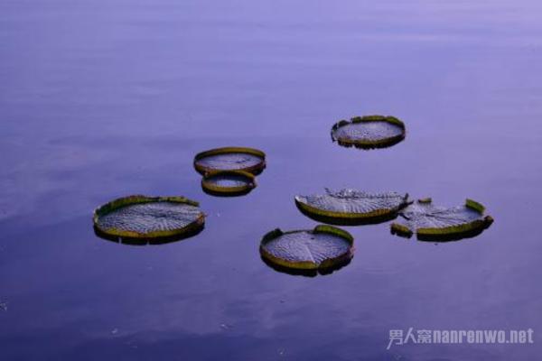 对未来充满希望的句子 句句让你充满对未来的希望