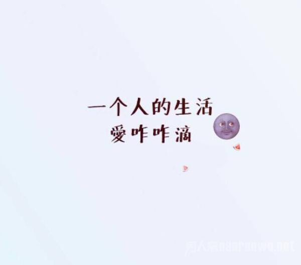 阿q正传经典语录 阿q正传经典语录 这只是一个可怜之人的人生