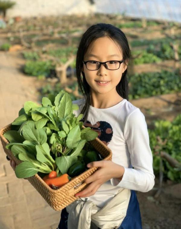 佟大为一家五口外出摘果蔬 12岁大女儿五官精致气质佳