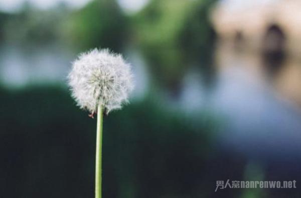 活着最经典的一段话 朴实却说出人生真相 句句都伟大