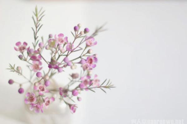 一句简短的风景句子 一句简短的风景句子 每一句都说出风景的惊艳