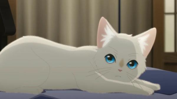 动漫电影《想哭的我戴上了猫的面具》：—生而为人的意义！