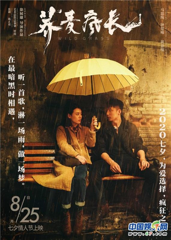《荞麦疯长》上映倒计时 王铮亮《爱情都去哪儿了》延续感动