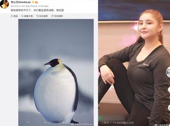 周杰伦《天台》的女主角李心艾发福 晒胖企鹅减肥