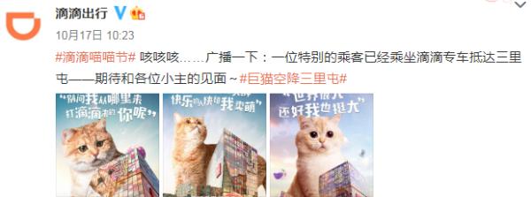 巨猫空降三里屯！